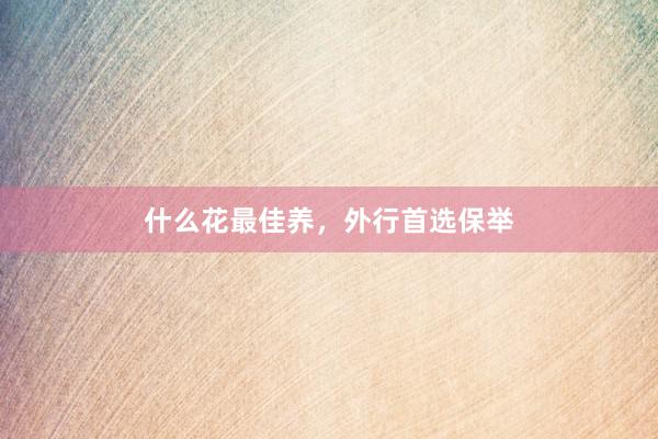 什么花最佳养，外行首选保举