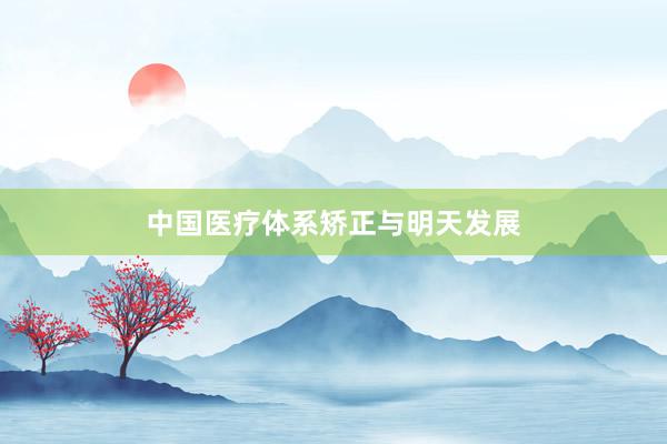 中国医疗体系矫正与明天发展